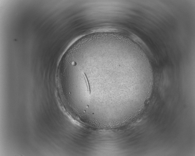 X0000063450852200602031806