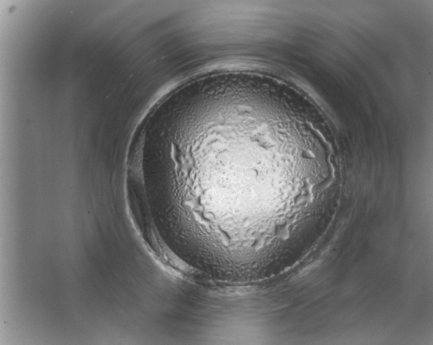 X0000063450853200602031806