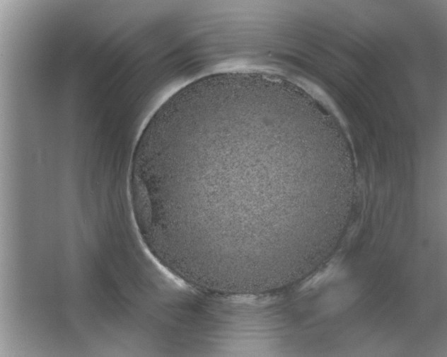 X0000063450855200602031806