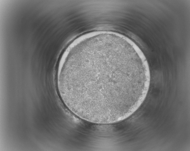 X0000063450856200602031806