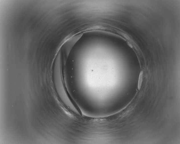 X0000063450858200602031806