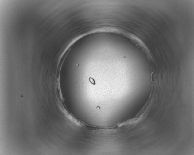 X0000063450860200602031806