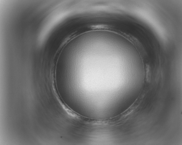 X0000063450861200602031806