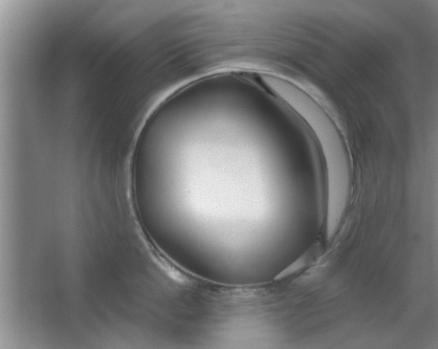 X0000063450862200602031806