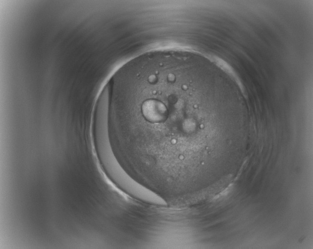 X0000063450863200602031806