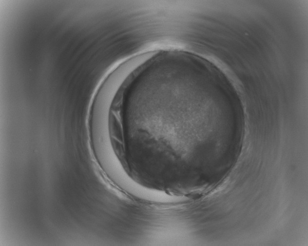 X0000063450864200602031806