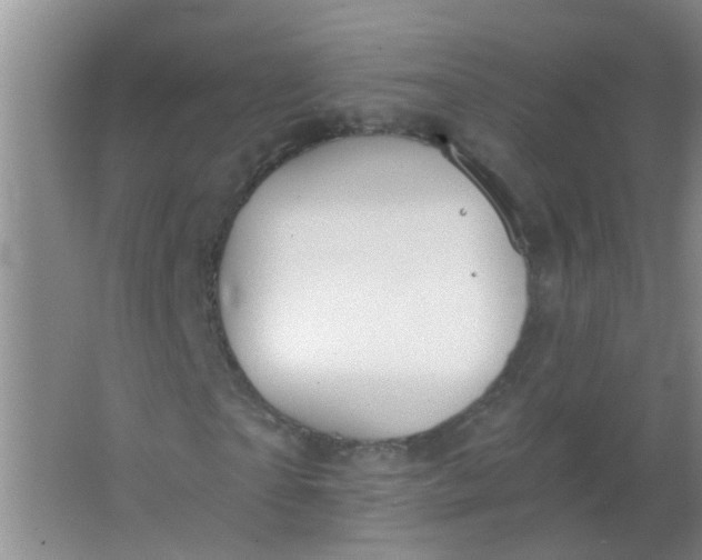 X0000063450865200602031805