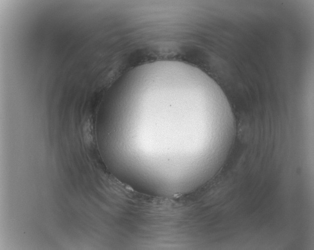 X0000063450866200602031805