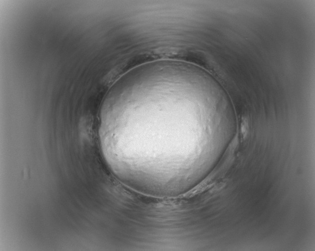 X0000063450867200602031805