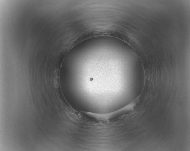 X0000063450868200602031805