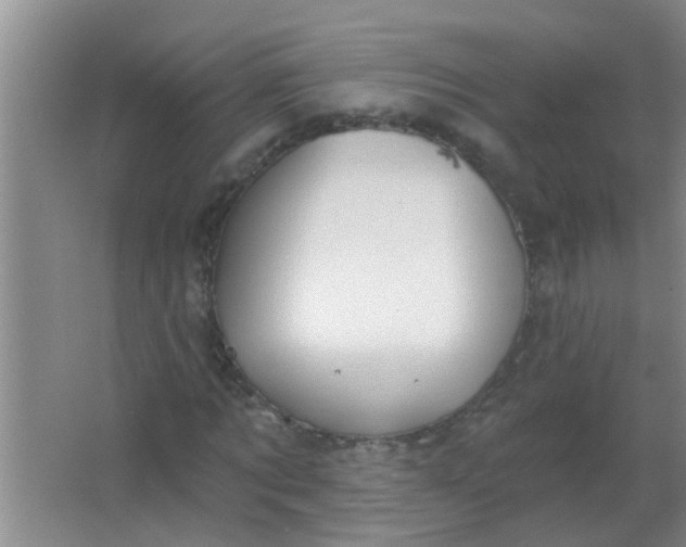 X0000063450869200602031805