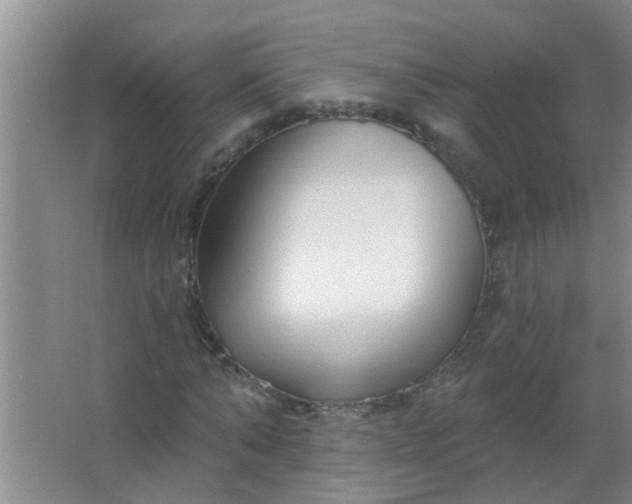 X0000063450870200602031805