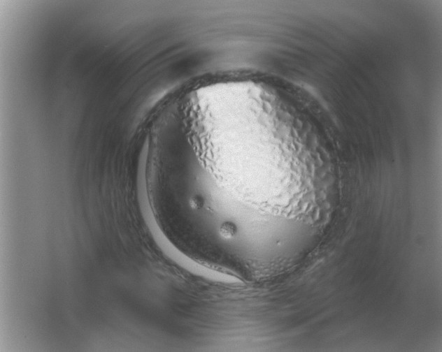 X0000063450871200602031805