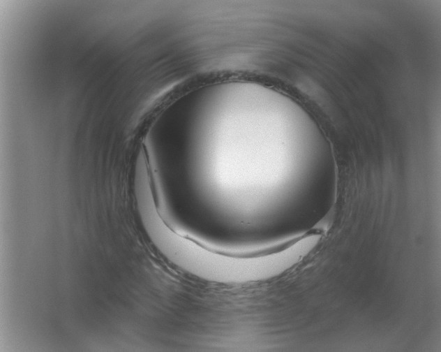 X0000063450872200602031805