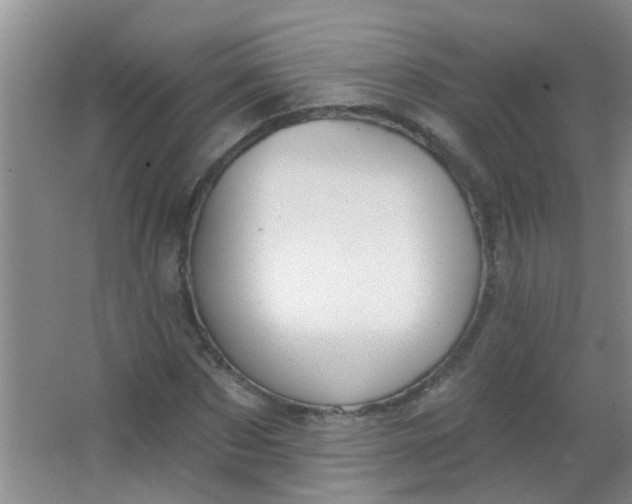 X0000063450873200602031805