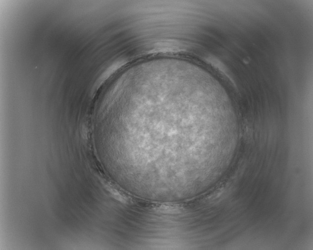 X0000063450874200602031805