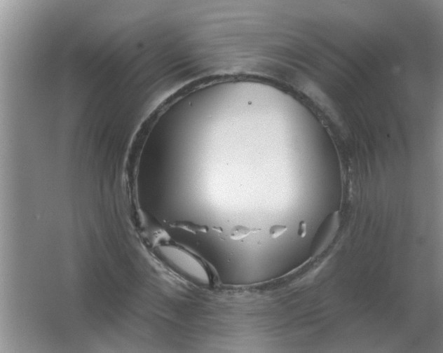 X0000063450876200602031805