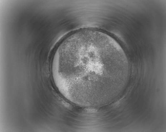 X0000063450878200602031805