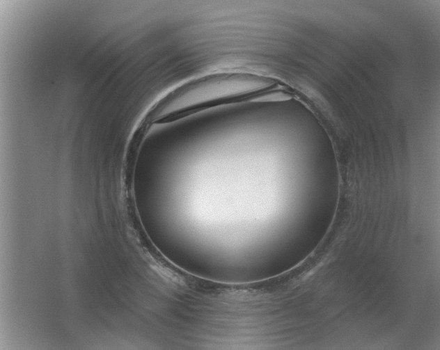 X0000063450880200602031805