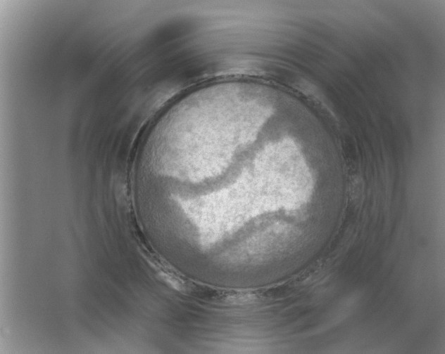 X0000063450882200602031805