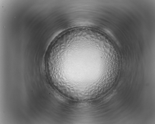 X0000063450883200602031805