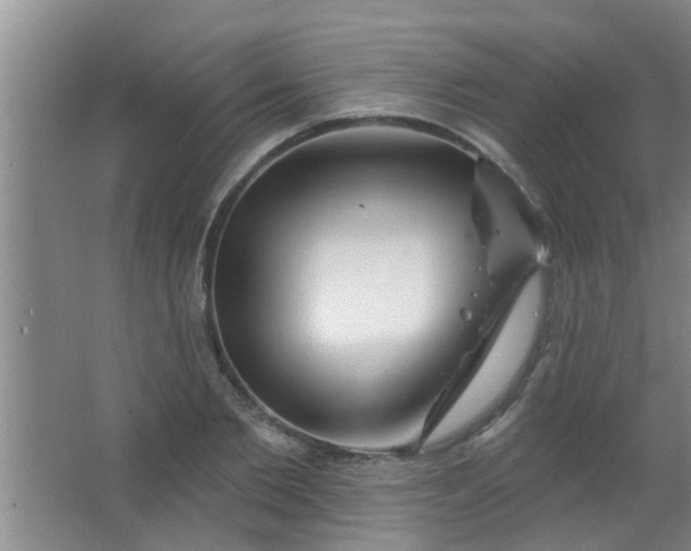 X0000063450885200602031805