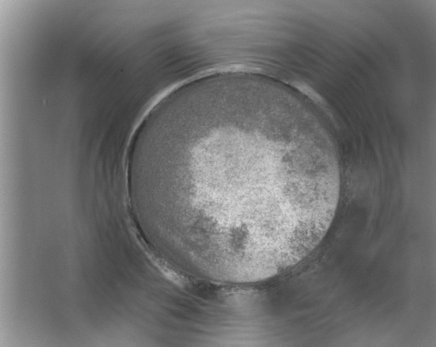 X0000063450886200602031805