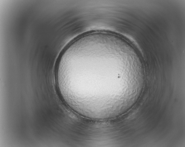 X0000063450887200602031805