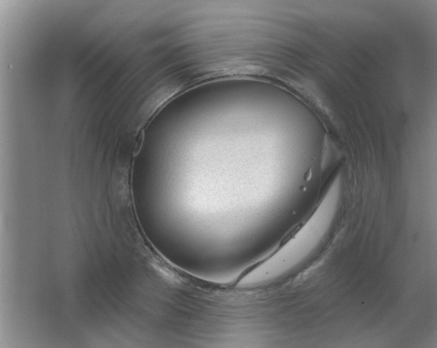 X0000063450889200602031805