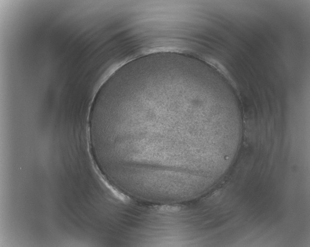 X0000063450890200602031805