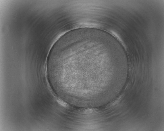 X0000063450891200602031805