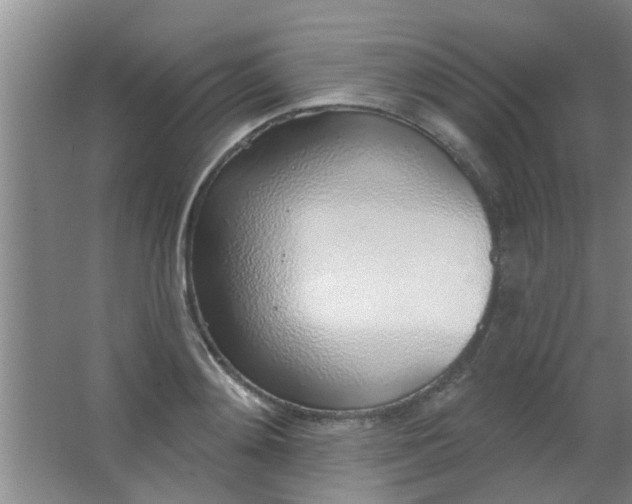 X0000063450892200602031805