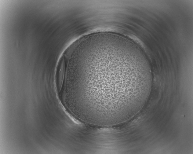 X0000063450894200602031805