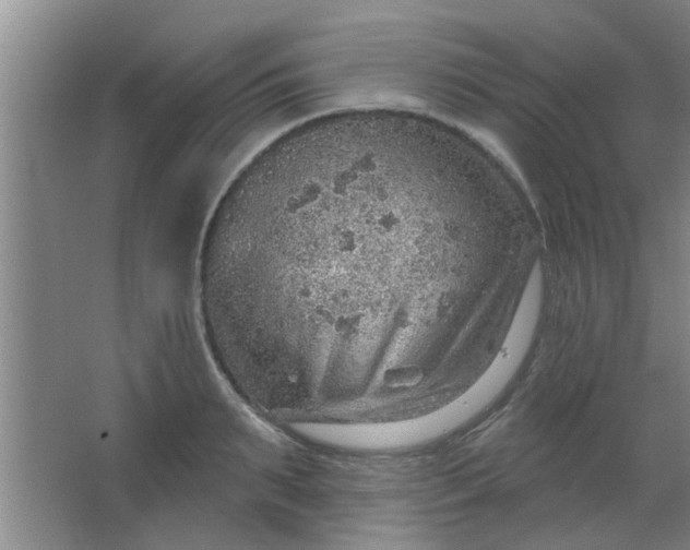 X0000063450895200602031805