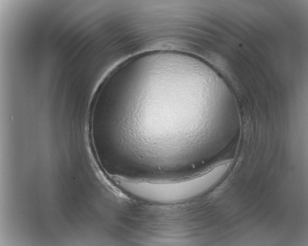 X0000063450896200602031805