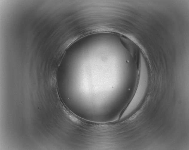 X0000063450897200602031805