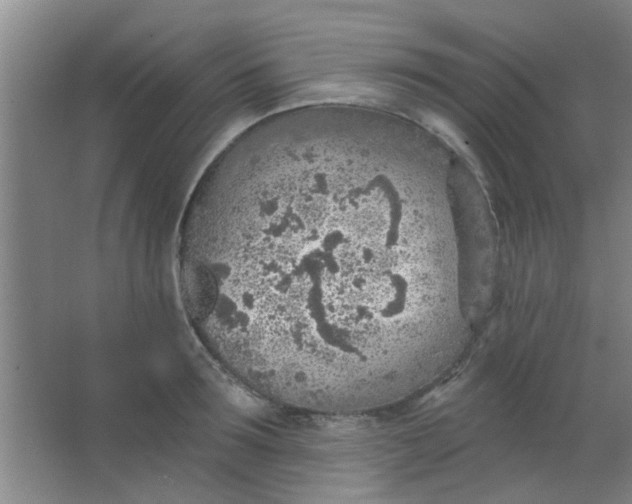 X0000063450899200602031805