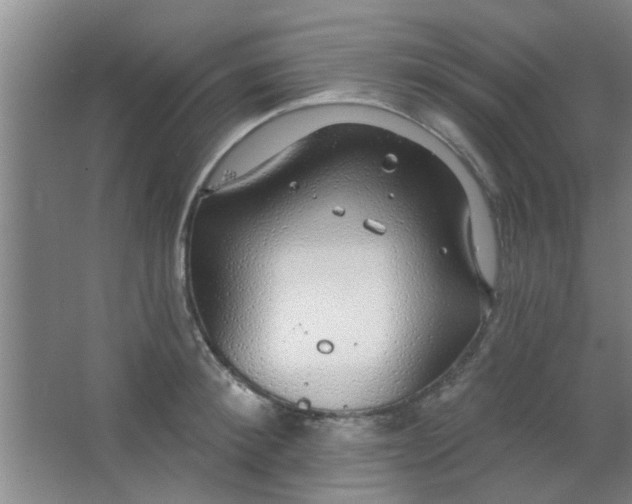 X0000063450900200602031805