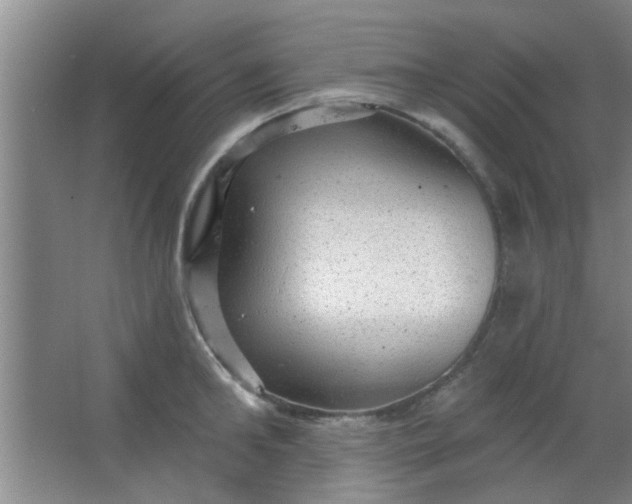 X0000063450902200602031805