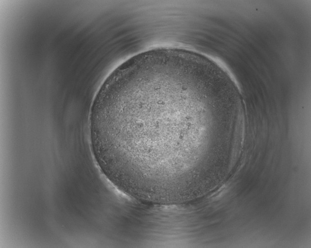 X0000063450903200602031805