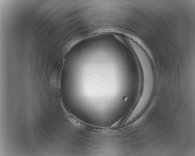 X0000063450905200602031805