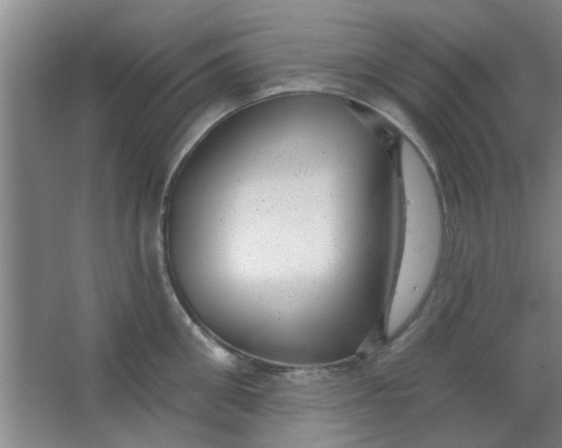 X0000063450906200602031805