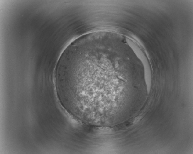 X0000063450907200602031805