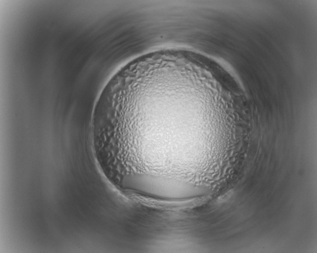 X0000063450911200602031804