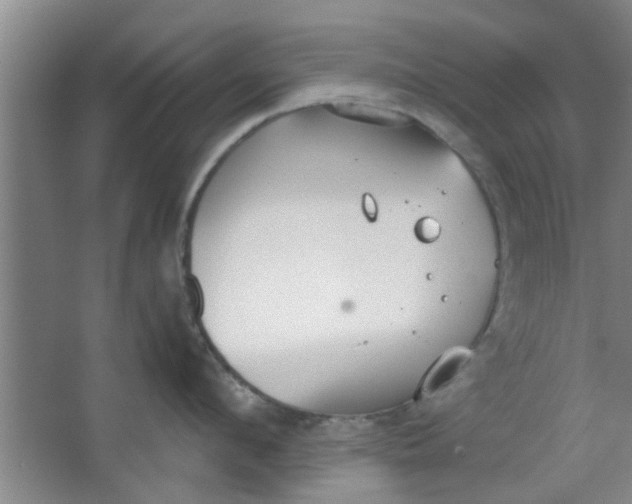 X0000063450912200602031804