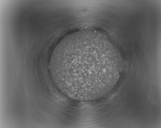 X0000063450913200602031804