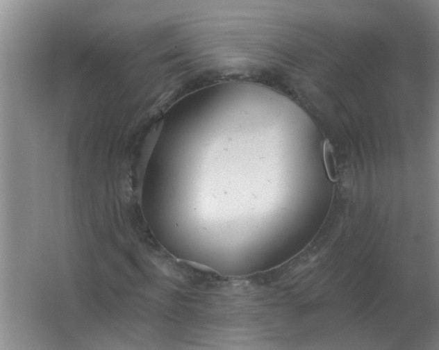 X0000063450916200602031804