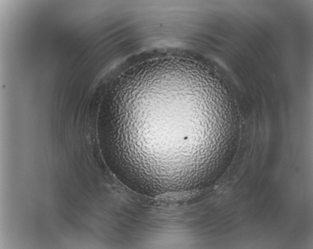 X0000063450919200602031804