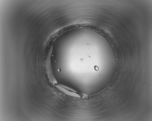 X0000063450920200602031804