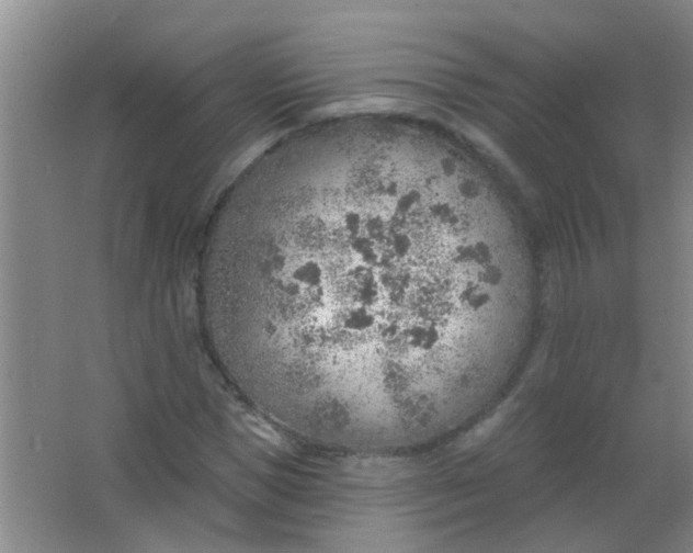 X0000063450921200602031804